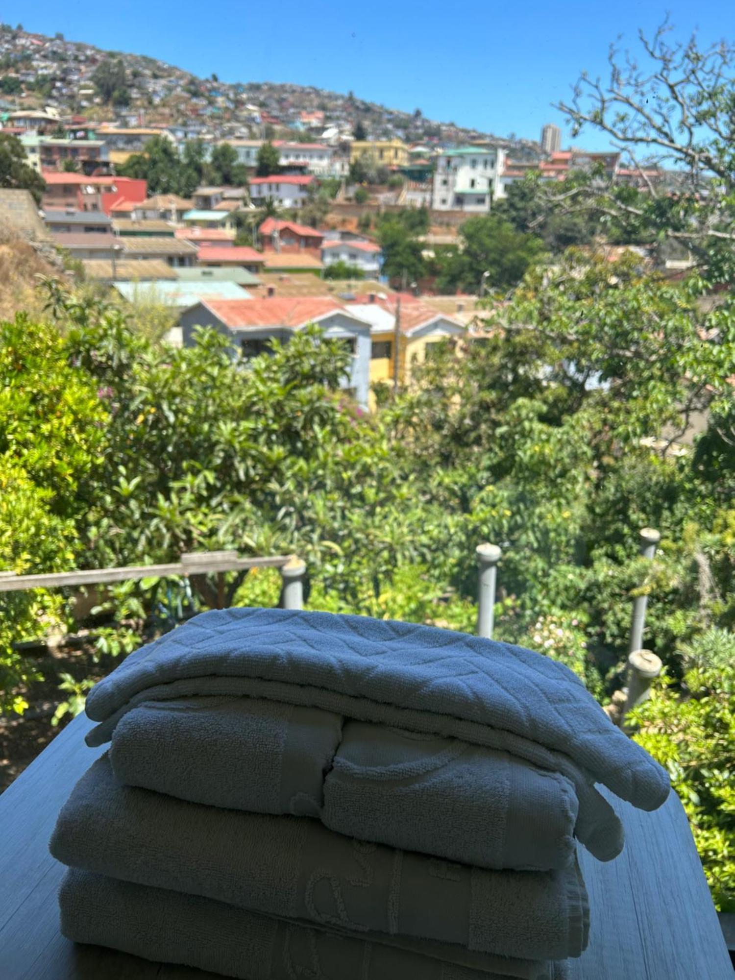 Boutique & Puerto Natura *